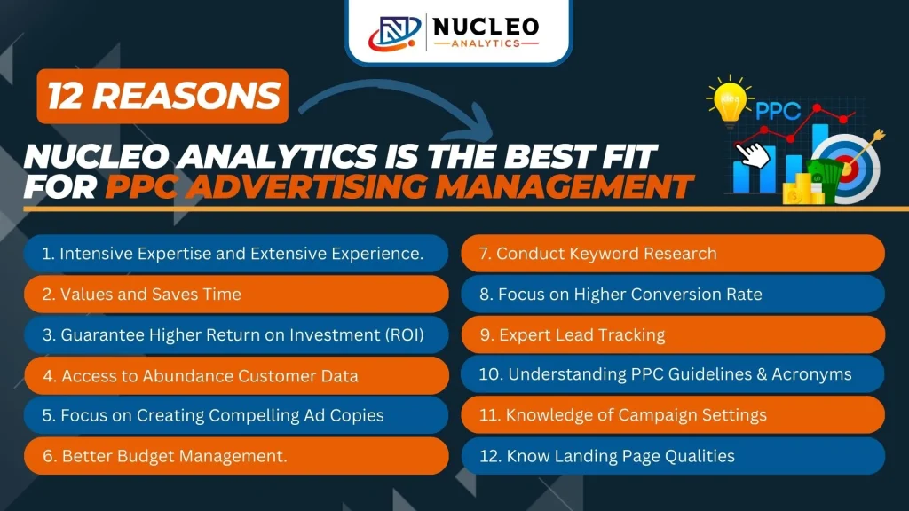 12 Reasons Nucleo Analytics is the Best